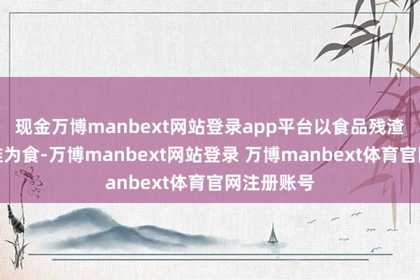 现金万博manbext网站登录app平台以食品残渣、纸张纤维为食-万博manbext网站登录 万博manbext体育官网注册账号