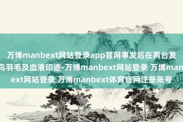 万博manbext网站登录app官网事发后在两台发动机内均发现该种群候鸟羽毛及血液印迹-万博manbext网站登录 万博manbext体育官网注册账号