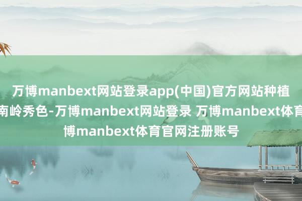 万博manbext网站登录app(中国)官方网站种植了长年长青的南岭秀色-万博manbext网站登录 万博manbext体育官网注册账号