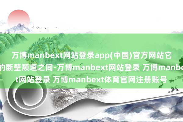 万博manbext网站登录app(中国)官方网站它纯真穿梭于模拟街区的断壁颓垣之间-万博manbext网站登录 万博manbext体育官网注册账号